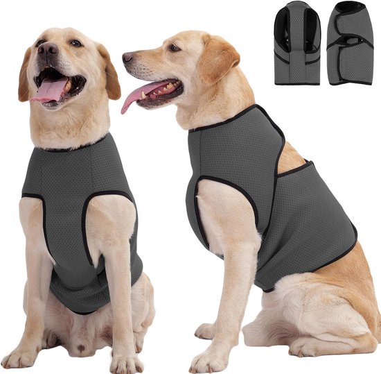 Twee Labradors in donkergrijze ademende vesten, één zittend, één zittend en kijkend. Een gedetailleerd beeld van het vest in de hoek.
