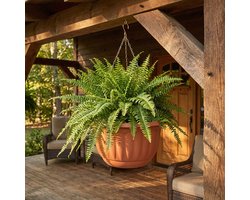 Hangende Bloempot Ø30 cm met Ketting – Kunststof Terracotta – Hangpot voor Balkon & Tuin – Inclusief Haak – Binnen & Buiten Gebruik [11993]