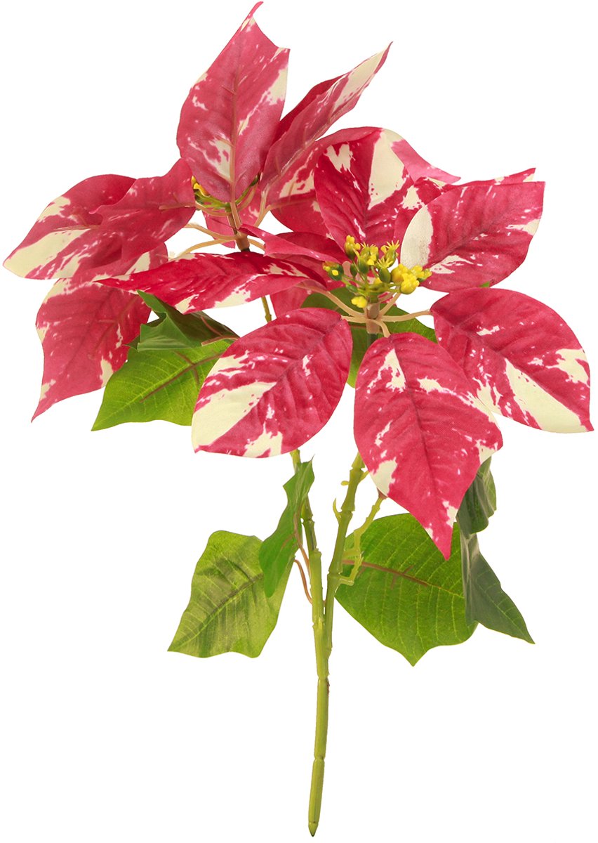 Viana Kunstkerstster in rode crème L35cm 6st 2 bos, 6 stuks Veelkleurig