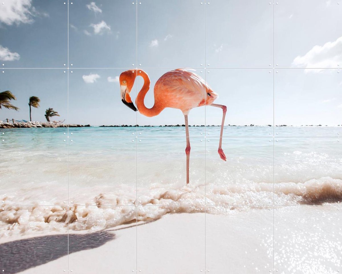 IXXI Flamingo - Strike a Pose, Claire Droppert - 100 x 80 cm - Gratis ophangtool - Grote wanddecoratie en posters - Naturalisme, Fotografie, Speels