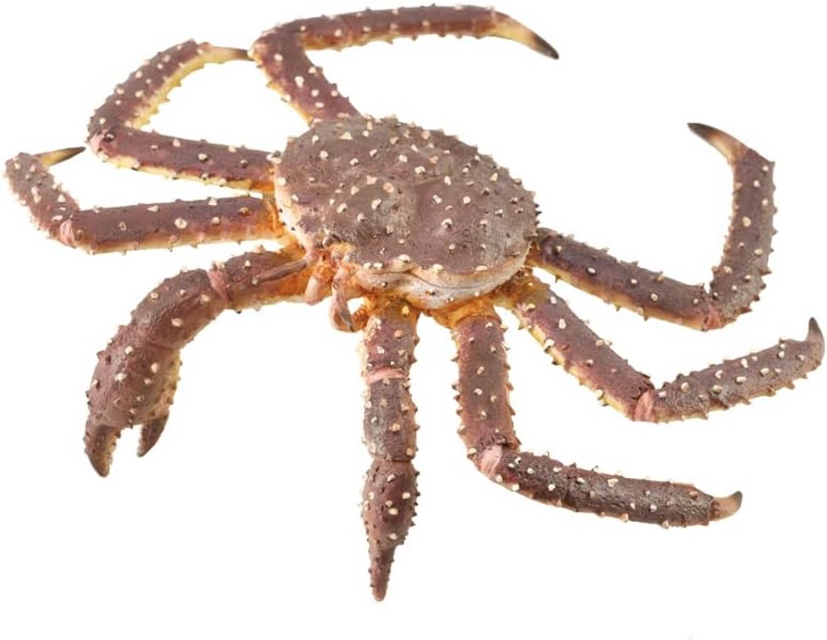 Realistisch Speelgoed Krab Zeeleven Figuur Kleurrijk