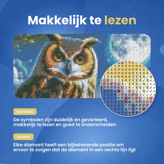 Rubye® Broderie diamant pour adultes et enfants – Kit complet – Hibou de nuit – 30x40cm