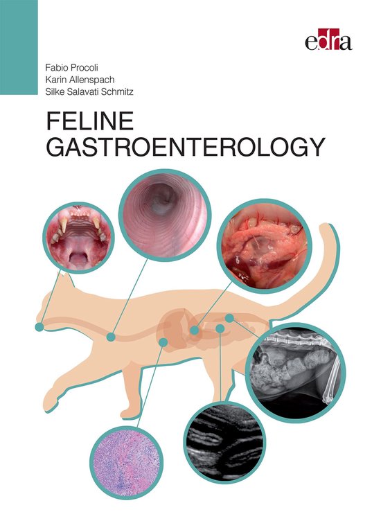 Feline Gastroenterology - cover