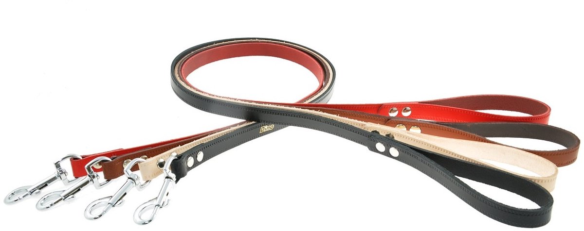 Dino Leren Hondenhalsband 25mm x 120cm - Duurzaam & Stijlvol