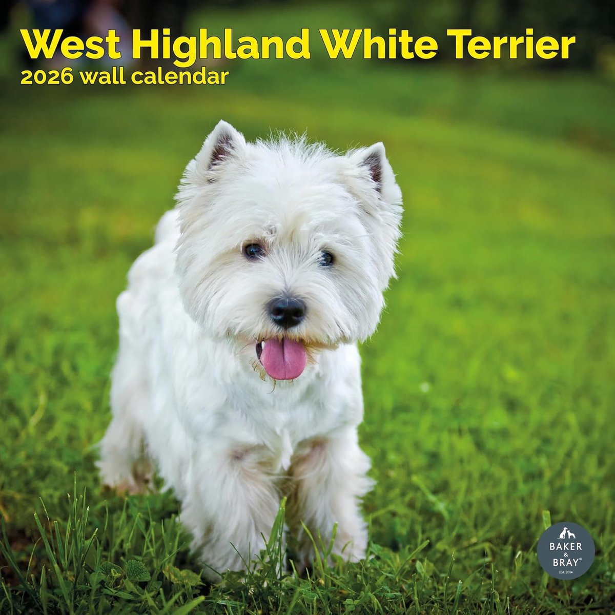 West Highland White Terrier Kalender 2027