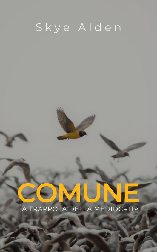 Comune - cover