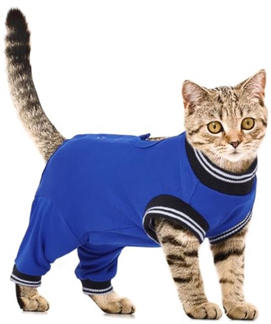 HEYWEAN Herstelpak voor honden, spalypak voor vrouwelijke hond, bodysuit na operatie, hondenonesie voor chirurgie, mannelijke hond, chirurgisch vest, vervangende herstelhalsbanden