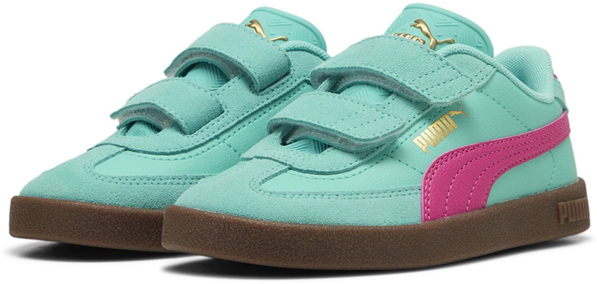 Aquatic / Pink / Gold