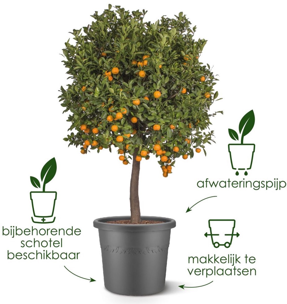 Elho Algarve Cilindro 25cm - Grote Bloempot voor Buiten - 100% Gerecycled Plastic - Paddenstoel beige