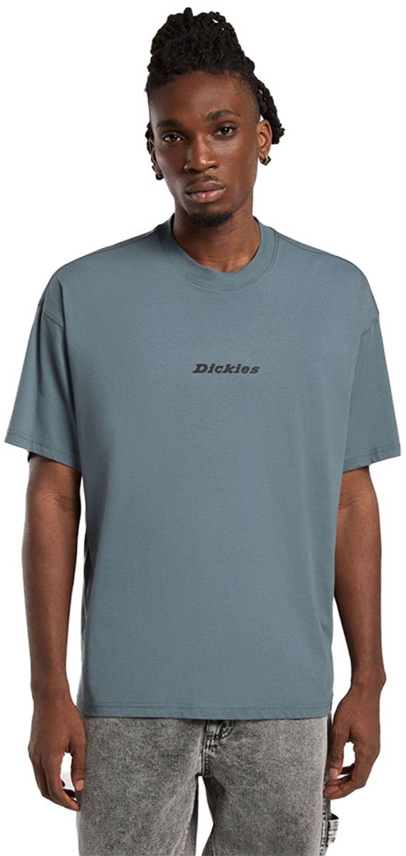 Dickies Enterprise T-shirt Met Korte Mouwen M Man Stormy Weather