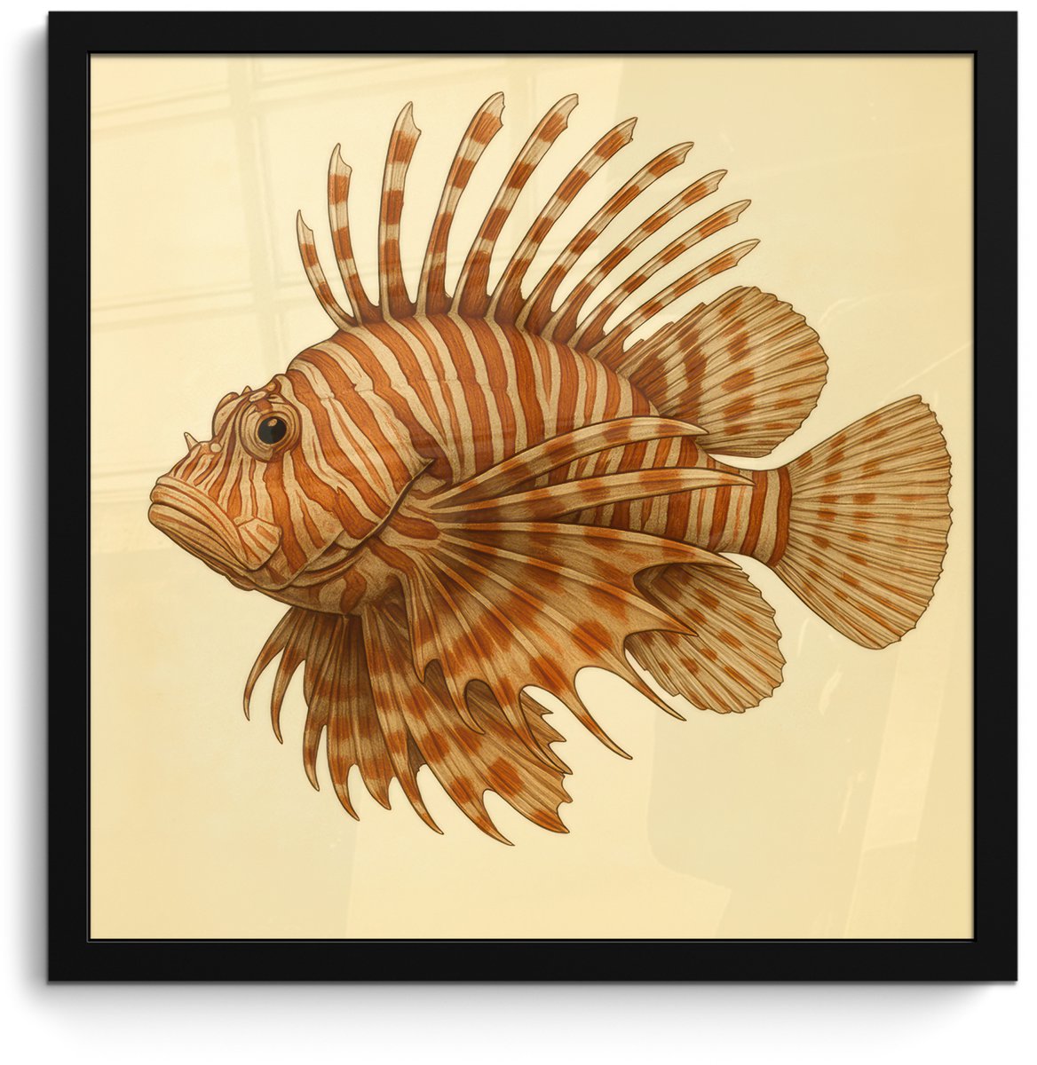 FrameYourWall Poster in lijst - Fotolijst 40x40 cm - Posters - Strepen - Vis - Rond - Stekels - Posterlijst zwart - Decoratie - Wanddecoratie woonkamer - Muurdecoratie slaapkamer Vis - Stekels