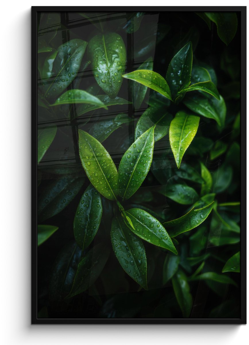 FrameYourWall Poster in lijst - Fotolijst 80x120 cm - Posters - Bladeren - Regendruppels - Licht - Groen - Posterlijst zwart - Decoratie - Wanddecoratie woonkamer - Muurdecoratie slaapkamer