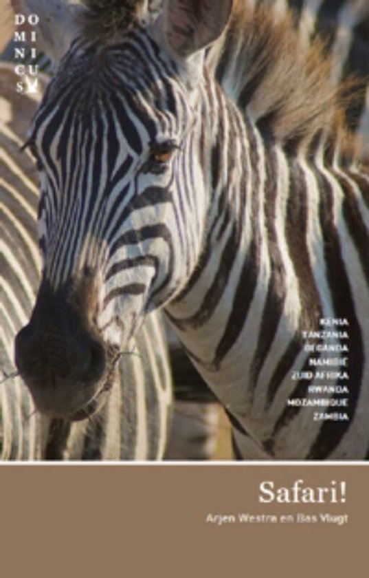 Dominicus - Safari!