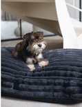 Een kleine bruine hond ligt op een donkergrijs, ribbed hondenkussen.