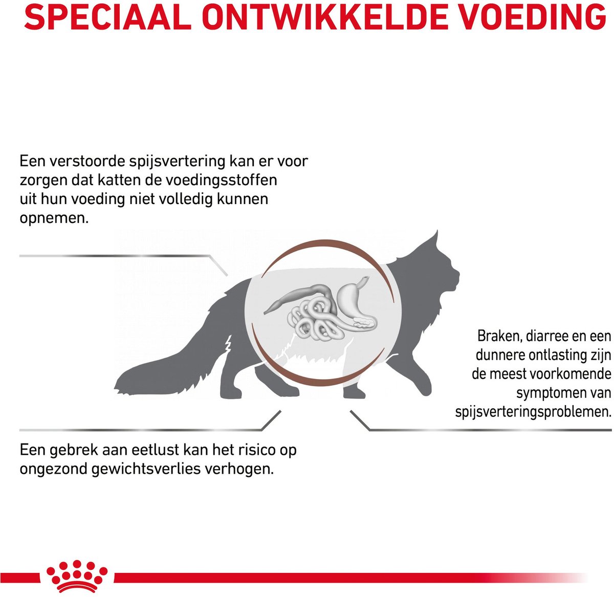 Royal Canin Gastro Intestinal - Kattenvoer thumbnail 3