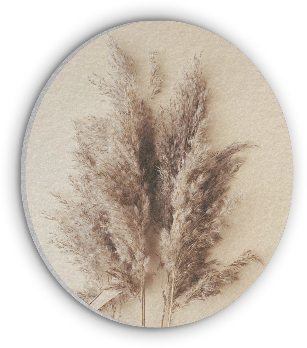 Akoestisch wandpaneel rond 30x30 cm - Vilt schilderij Graan - Pastel - Natuur - Ronde akoestische panelen - Geluidsdempende wanddecoratie - Geluidsisolatie wandcirkel - Muurdecoratie geluidspanelen