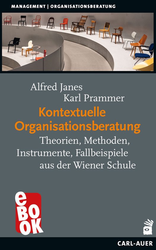 Management - Kontextuelle Organisationsberatung - cover