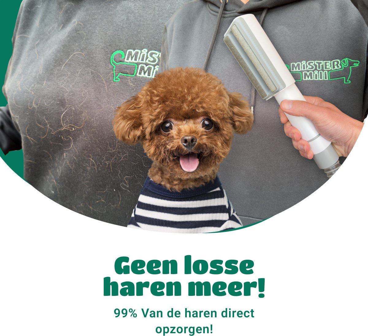 Mister Mill Hondentondeuse Met Stofzuiger - 19 Delige Set - 6 in 1 Verzorgingsset - Dierentondeuse - Hondentondeuse Dikke Vacht - Hondentrimmer - Vachtafzuiger - Elektrische Nagelvijl - Tondeuse Hond / Kat - Hondenborstel - Honden Trimset thumbnail 3