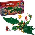 LEGO NINJAGO Lloyd's groene bosdraak box. Groene draak met vleugels, LEGO figuren Lloyd, Drakenbaby en vijand.
