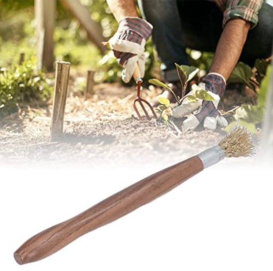 Bonsai Brush, Steel Wire Brush Wooden Handle Professional Bonsai Patio Lawn Garden Cleaning Tool for Potted Plants — afbeelding 3