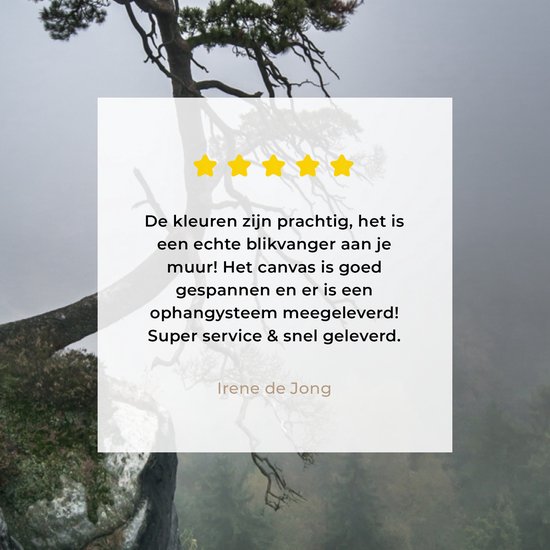 Peinture sur toile - Falaise - Arbres - Vert - Brouillard - Photo sur toile - Canvasdoek - 90x120 cm - Toile nature