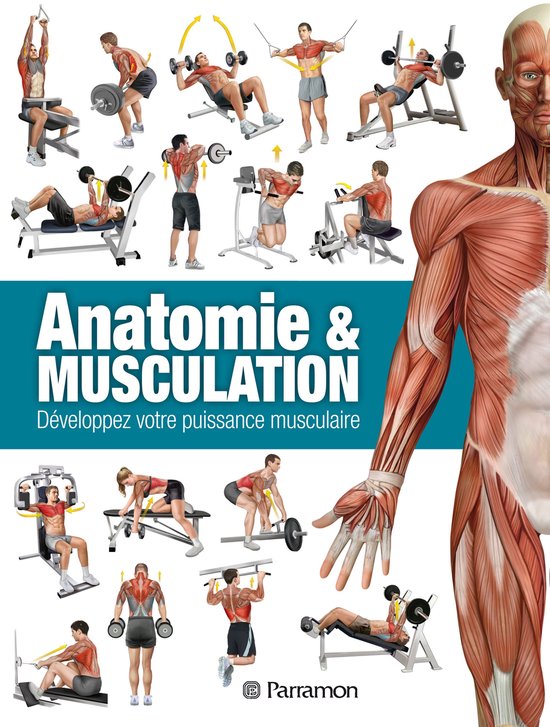 Anatomie & Musculation - Anatomie & Musculation - cover
