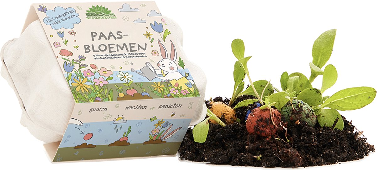 Bloemknikkers - kleurrijke zaadbommen in eierdoos - 6 stuks - met wilde bloemenzaden en natuurlijke kleurstoffen
