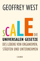 E-book