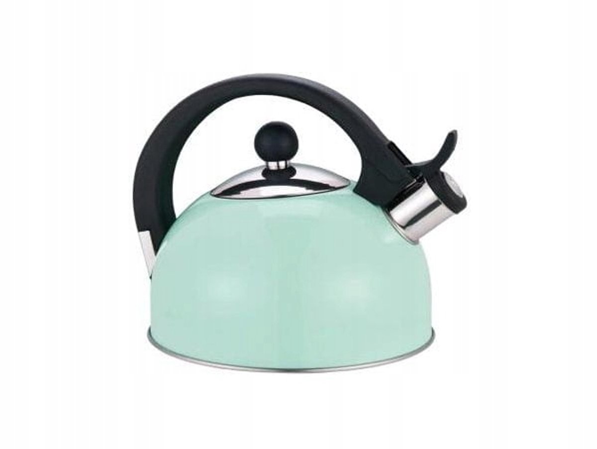 Mintgroene Fluitketel 2,2L - Geschikt voor Inductie & Gas
