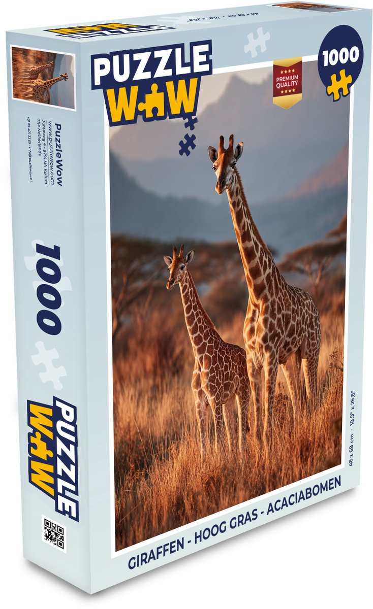Giraffen - Hoog gras - Acaciabomen