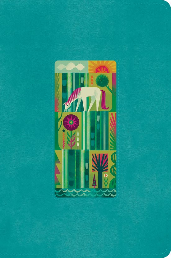 ESV The Biggest Story Holy Bible for Kids - cover