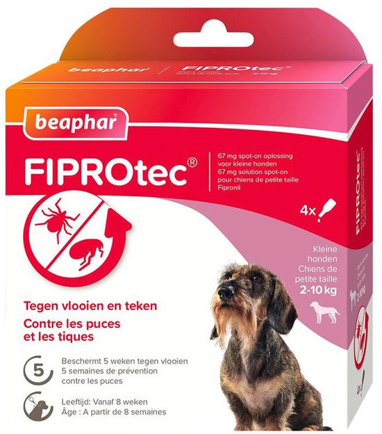 Beaphar Fiprotec voor kleine honden van 2-10 kg. De doos toont een ruwharige teckel, vlooien- en tekenpictogrammen en de tekst '4x'.