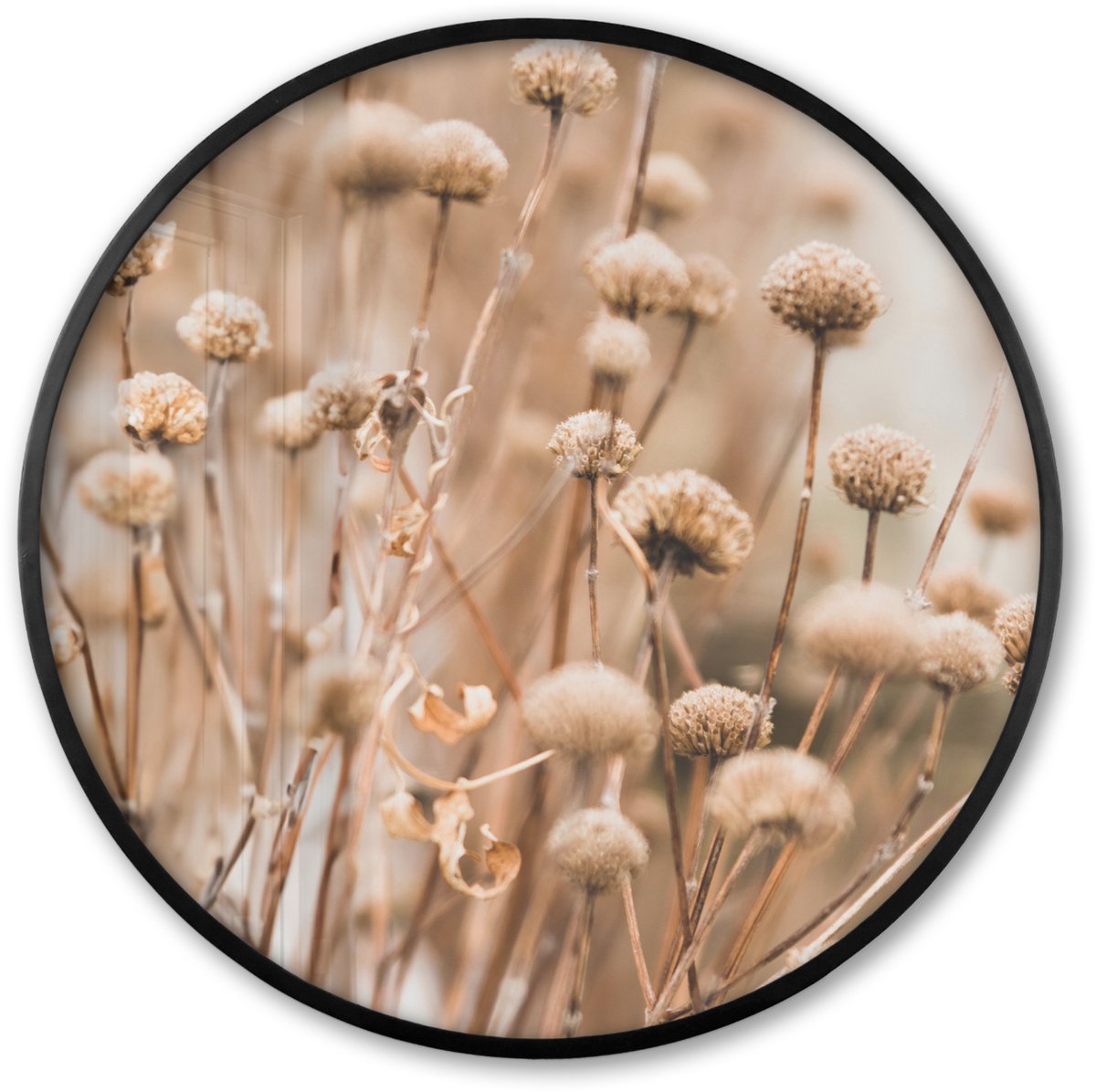 FrameYourWall Poster in lijst Rond - Fotolijst 60x60 cm - Posters - Droogbloemen - Beige - Bloemen - Natuur - Ronde posterlijst zwart - Decoratie - Wanddecoratie woonkamer - Muurdecoratie slaapkamer Planten