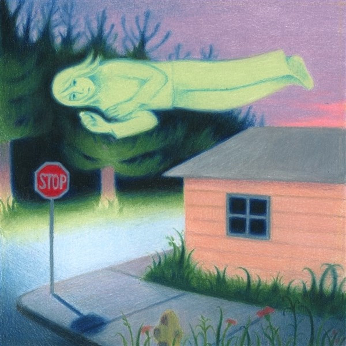 Fanclubwallet - Living While Dying (CD)