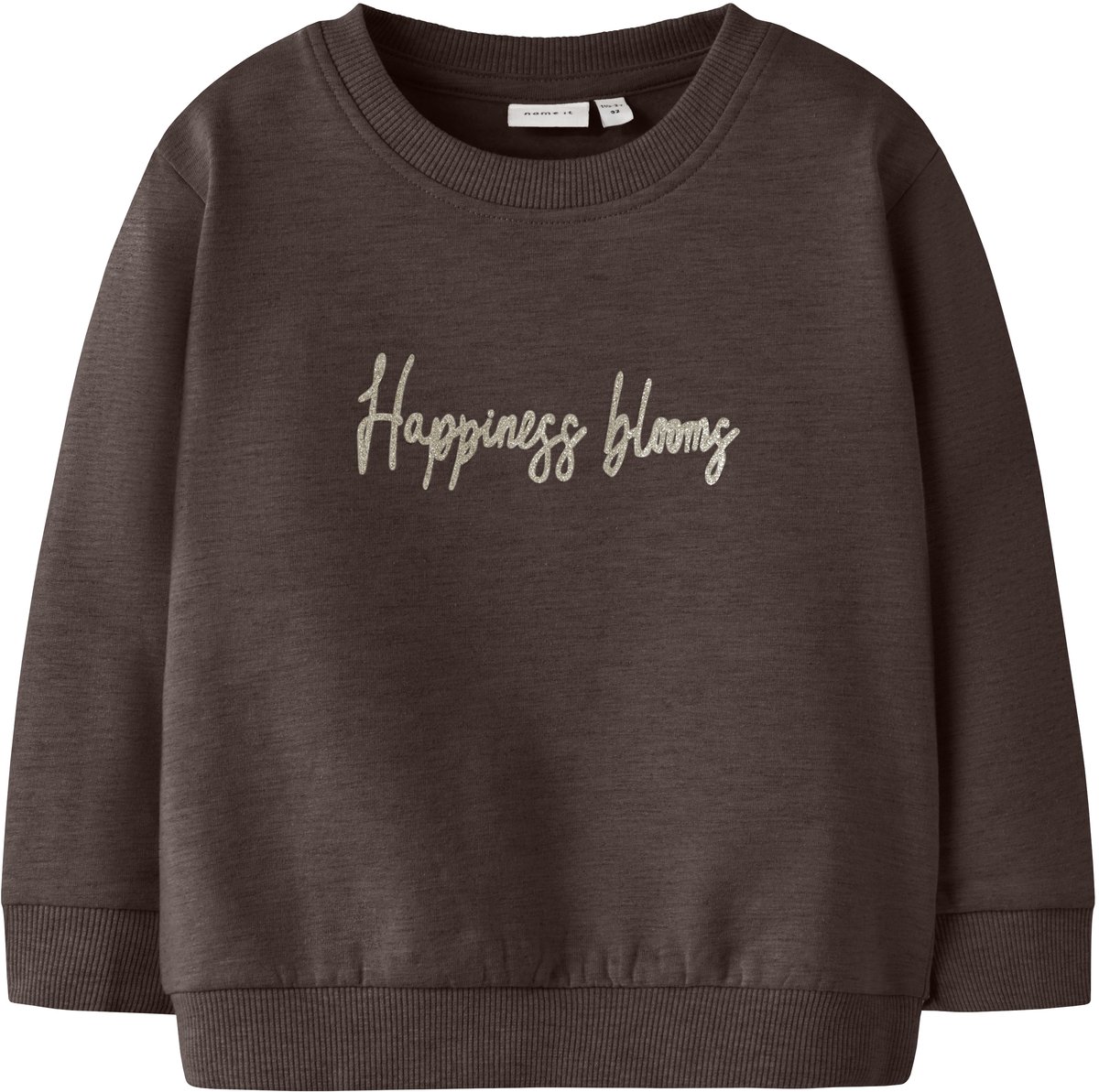 NAME IT - NMFPLAISE NREG SWEAT BRU - Meisjes - Sweaters