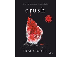Die Katmere Academy Chroniken 2 - Crush
