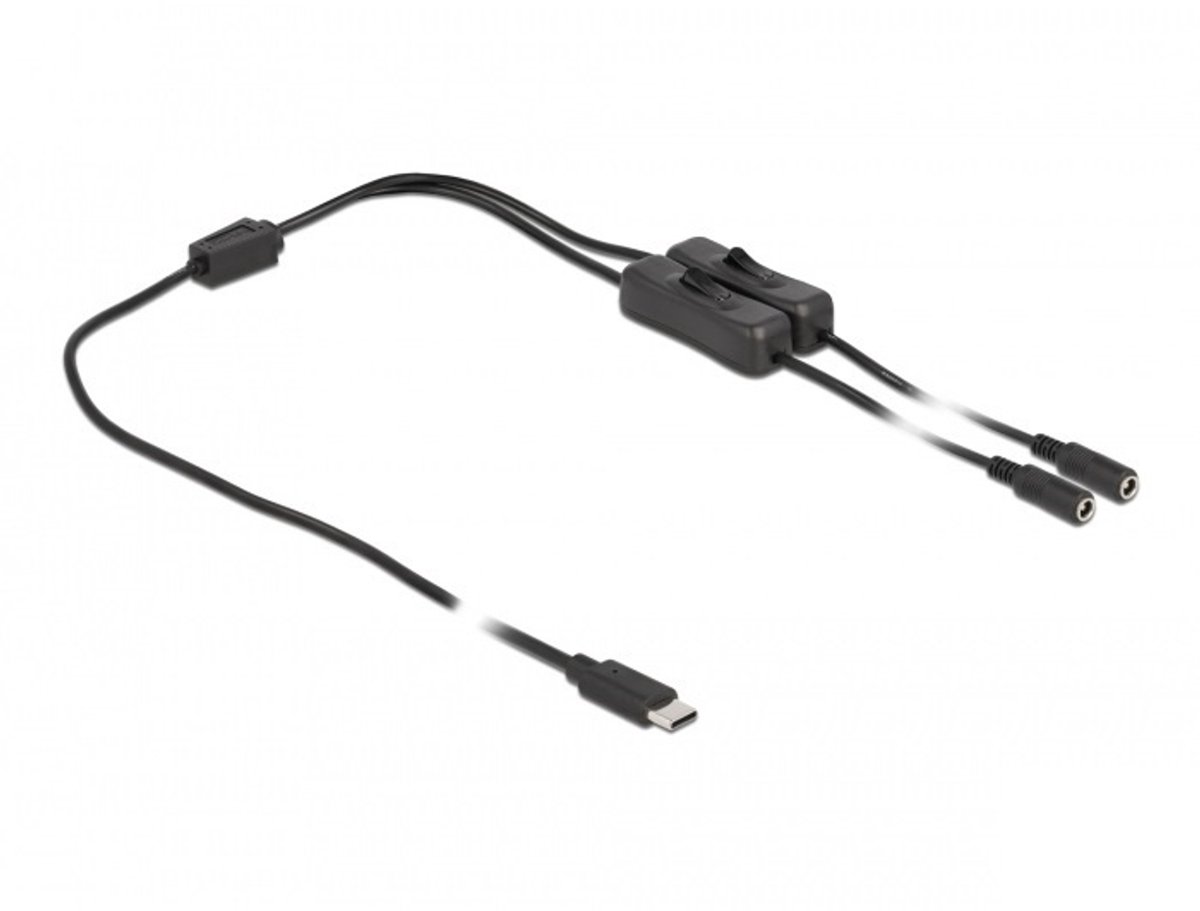 USB-C - 2x DC plug splitter | 5,5 x 2,1mm | max. 5V/3A (15W) | schakelaars | zwart | 1 meter