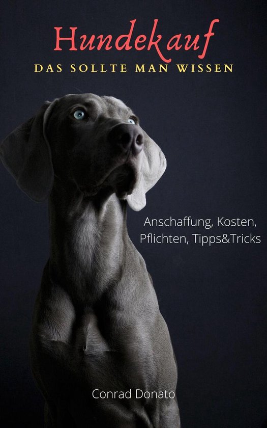 Hundekauf - Das sollte man wissen - cover