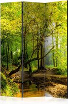 Kamerscherm - Scheidingswand - Vouwscherm - Forest Clearing [Room Dividers] 135x172 - Artgeist Vouwscherm