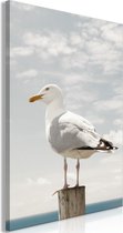 Schilderijen Op Canvas - Schilderij - Seagull (1 Part) Vertical 60x90 - Artgeist Schilderij