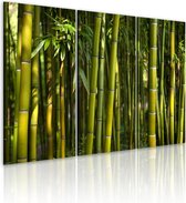 Schilderijen Op Canvas - Schilderij - Green bamboo 60x40 - Artgeist Schilderij