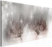 Schilderijen Op Canvas - Schilderij - Drops of Dew (1 Part) Pink Narrow 135x45 - Artgeist Schilderij