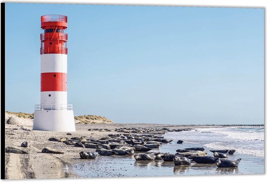 Dibond –Uitkijk Toren aan het Strand– 90x60 Foto op Aluminium (Wanddecoratie van metaal)