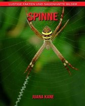 Spinne