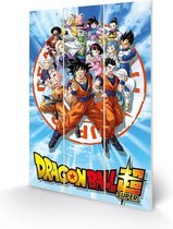 Dragon Ball Super - Goku And The Z Fighters Wood Print 20 X 29.5 cm