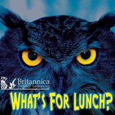 Board Books - What's for Lunch?