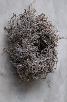 Couronne - Krans van bonsai en lavendel 'Wild' (Ø40cm)