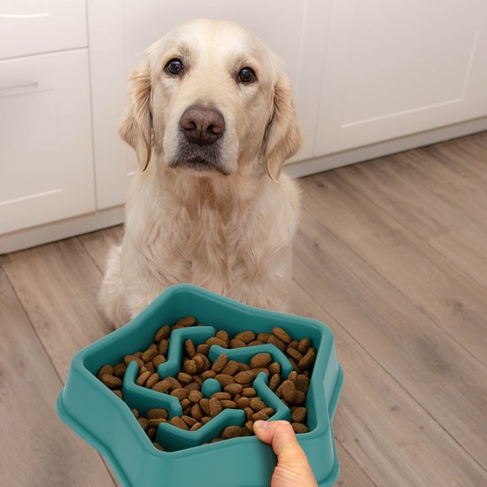 Puzzle Feeder Hondenbak, Slow Feeder Hondenbakken voor honden, hondenbak, slowfeeder voor droog, nat en rauw voedsel, hondenpuzzel hondenvoerbakken voor grote honden, 22 cm, blauw Puzzle Feeder Hondenbak, Slow Feeder Hondenbakken voor honden, hondenbak, slowfeeder voor droog, nat en rauw voedsel, hondenpuzzel hondenvoerbakken voor grote honden, 22 cm, blauw