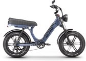 Ape Ryder MD10 Premium Elektrische Fatbike 250W / 48V / 14.5AH / 20Inch Oud Blauw