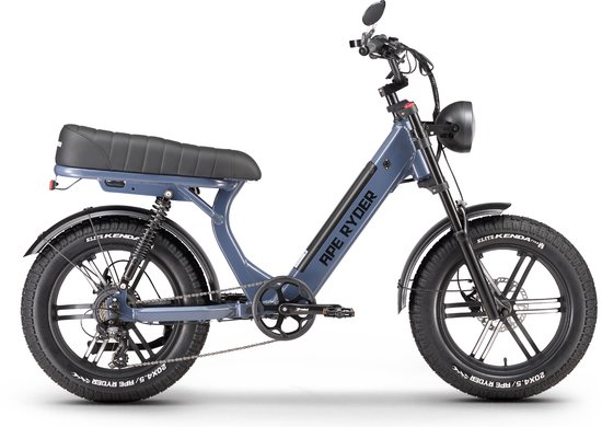 Elektrische Fatbike Ape Ryder MD10 250W 48V 14.5Ah 20 Inch LCD Scherm Schijfremmen 55-75 km Autonomie